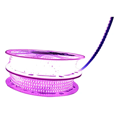 Tira LED 120V Fucsia 120 LED/M SMD 2835 Rollo 50M IP65 (Corte C/10cm)